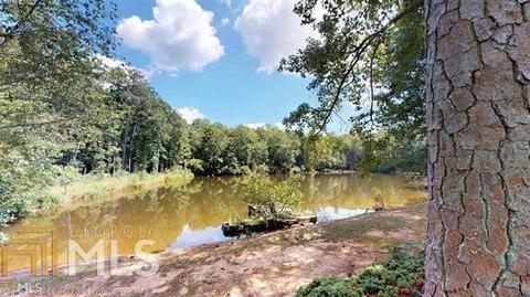 55 Black Walnut Trl, Hampton, GA 30228 photo 6