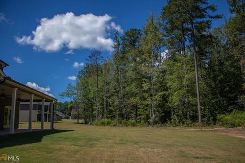 125 Wrangell Trl, Hampton, GA 30228 photo 56