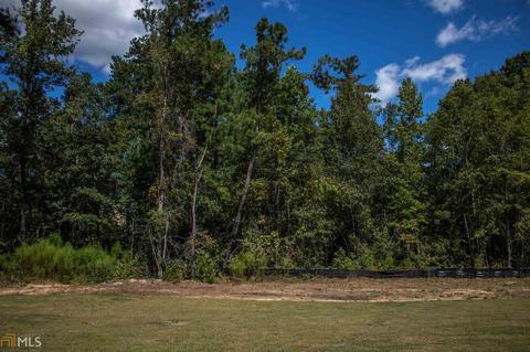 125 Wrangell Trl, Hampton, GA 30228 photo 54