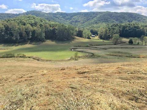 17 Murphy Homes For Sale Murphy Nc Real Estate Movoto