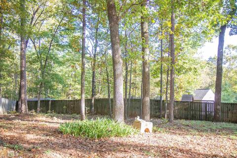 2982 Bayberry Ct, Hampton, GA 30228 photo 30