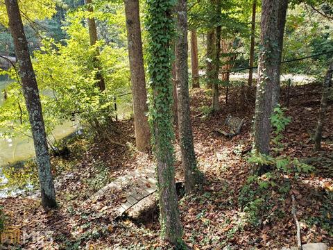 325 Hidden Lks, Toccoa, GA 30577 photo 44