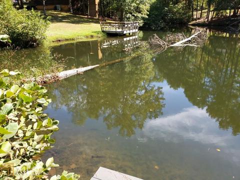 325 Hidden Lks, Toccoa, GA 30577 photo 50