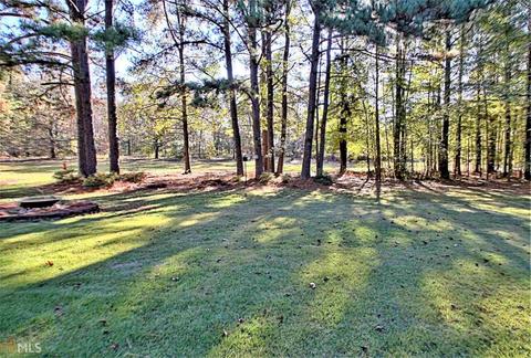148 Brookside Ln, Brooks, GA 30205 photo 30