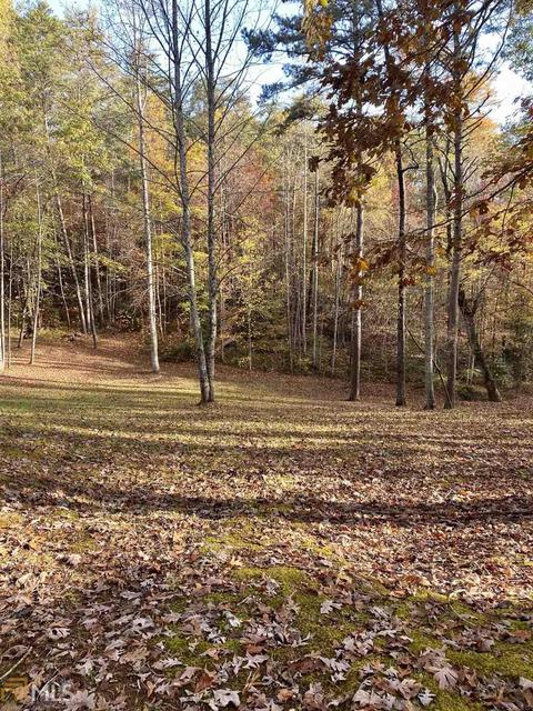 976 Low Gap Rd, Clarkesville, GA 30523 photo 4