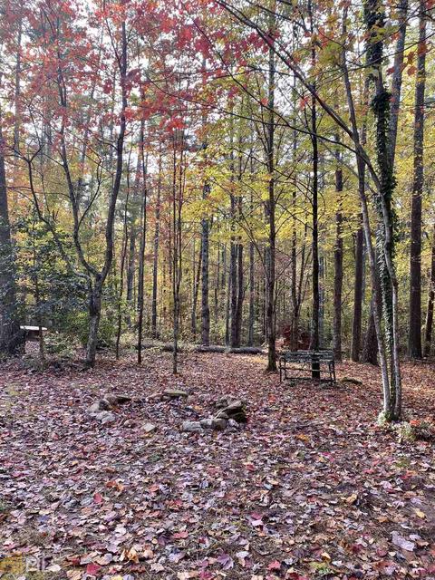 976 Low Gap Rd, Clarkesville, GA 30523 photo 3