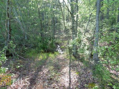 294 E Rivers Rd, Griffin, GA 30224 photo 9