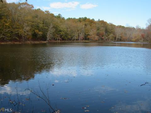 294 E Rivers Rd, Griffin, GA 30224 photo 16
