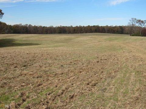 294 E Rivers Rd, Griffin, GA 30224 photo 25