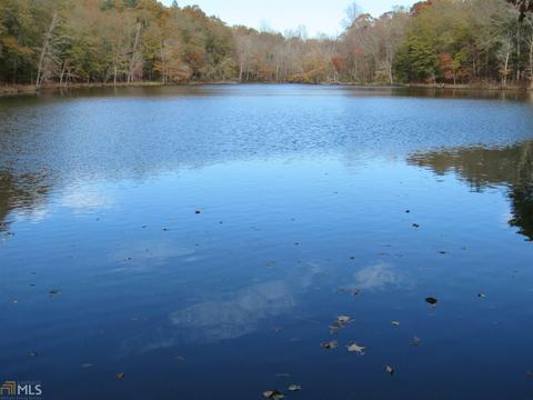294 E Rivers Rd, Griffin, GA 30224 photo 15