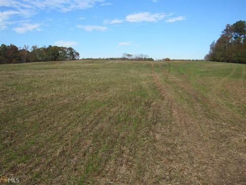 294 E Rivers Rd, Griffin, GA 30224 photo 22