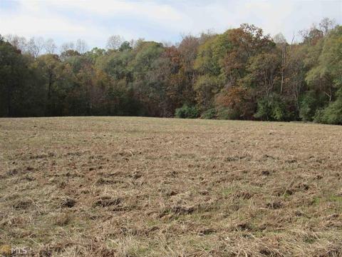 294 E Rivers Rd, Griffin, GA 30224 photo 24