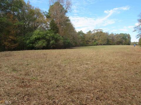 294 E Rivers Rd, Griffin, GA 30224 photo 19