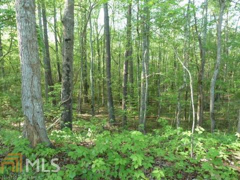 294 E Rivers Rd, Griffin, GA 30224 photo 8