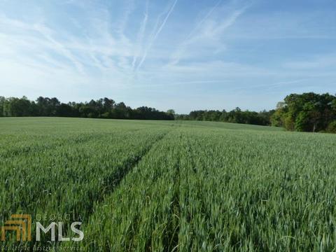 294 E Rivers Rd, Griffin, GA 30224 photo 1