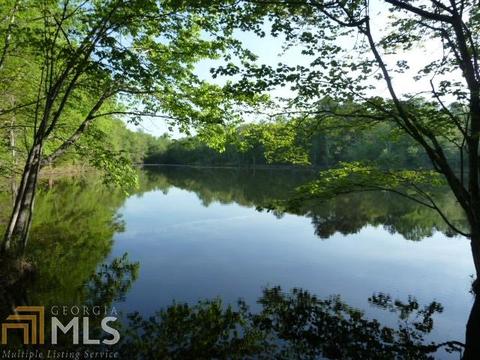 294 E Rivers Rd, Griffin, GA 30224 photo 5
