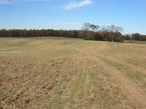 294 E Rivers Rd, Griffin, GA 30224 photo 26