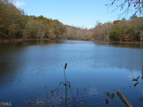 294 E Rivers Rd, Griffin, GA 30224 photo 14