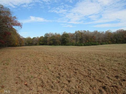 294 E Rivers Rd, Griffin, GA 30224 photo 27