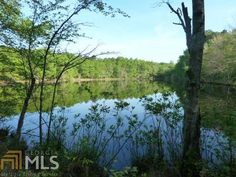 294 E Rivers Rd, Griffin, GA 30224 photo 10