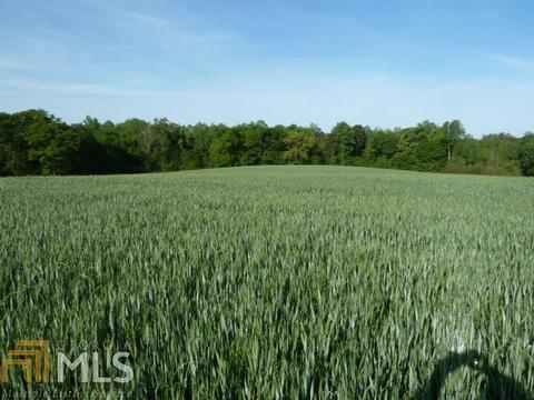 294 E Rivers Rd, Griffin, GA 30224 photo 3