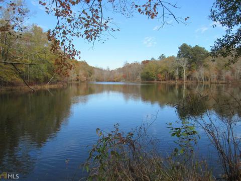294 E Rivers Rd, Griffin, GA 30224 photo 12