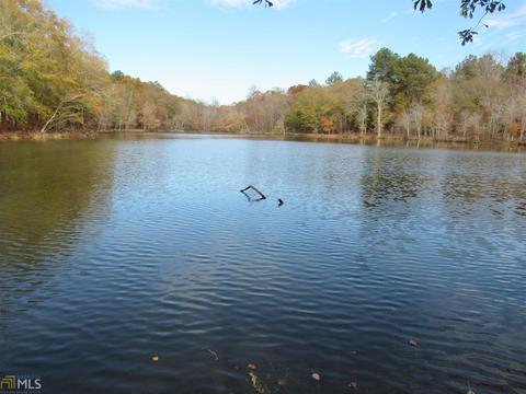 294 E Rivers Rd, Griffin, GA 30224 photo 17