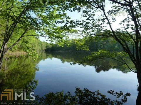 294 E Rivers Rd, Griffin, GA 30224 photo 6