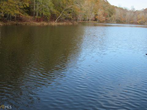 294 E Rivers Rd, Griffin, GA 30224 photo 18