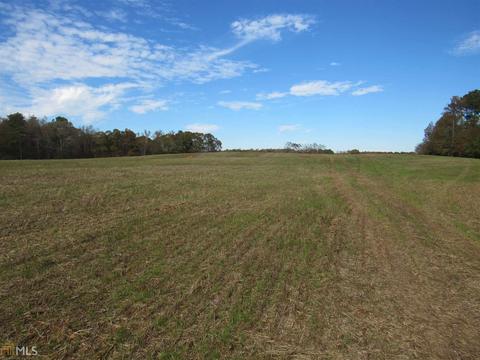 294 E Rivers Rd, Griffin, GA 30224 photo 21