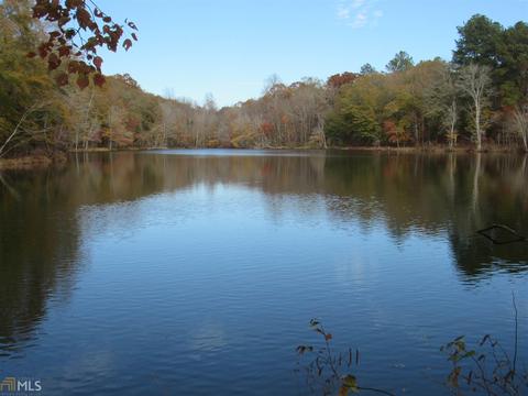 294 E Rivers Rd, Griffin, GA 30224 photo 13