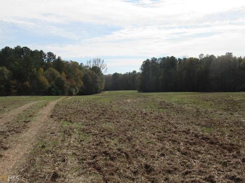 294 E Rivers Rd, Griffin, GA 30224 photo 23
