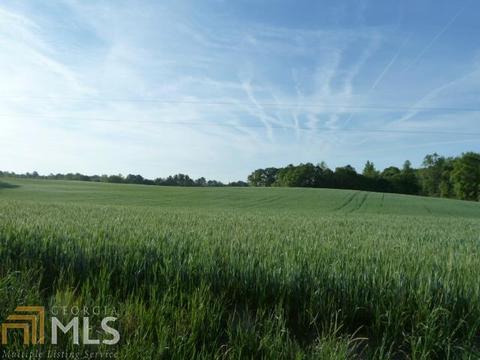 294 E Rivers Rd, Griffin, GA 30224 photo 2