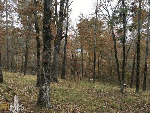 436 Mcgee Bend Rd, Cave Spring, GA 30124 photo 16