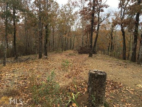 436 Mcgee Bend Rd, Cave Spring, GA 30124 photo 18