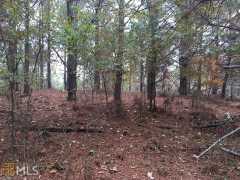 436 Mcgee Bend Rd, Cave Spring, GA 30124 photo 14