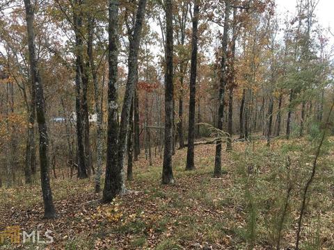 436 Mcgee Bend Rd, Cave Spring, GA 30124 photo 17