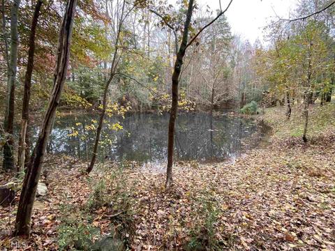 230 Falling Leaf Ln, Winder, GA 30680 photo 25