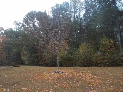 540 Gristmill Ln, Hampton, GA 30228 photo 32