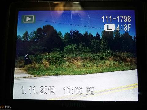 1981 Barnes Rd, Bowdon, GA 30108 photo 4