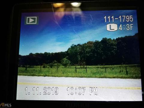 1981 Barnes Rd, Bowdon, GA 30108 photo 6