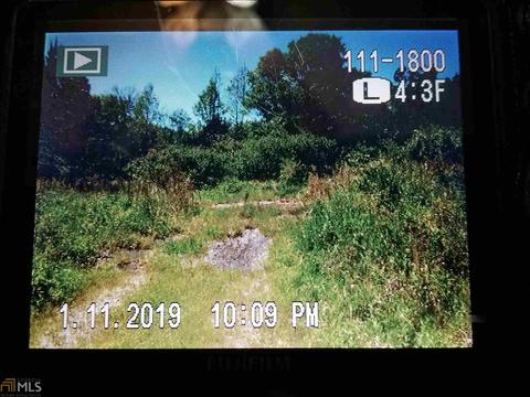 1981 Barnes Rd, Bowdon, GA 30108 photo 2