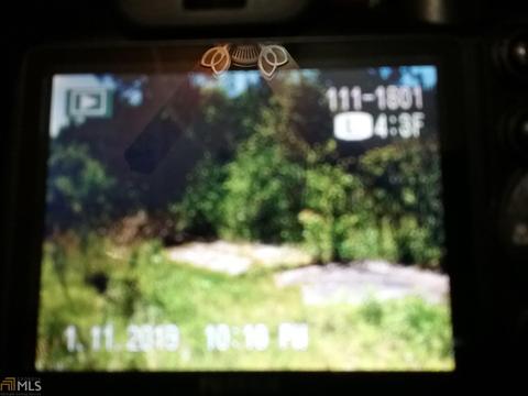 1981 Barnes Rd, Bowdon, GA 30108 photo 3