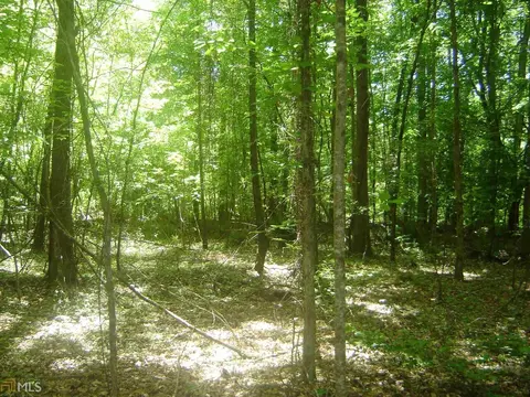 2001 Moores Mill Dr, Lanett, AL 36863 photo 6