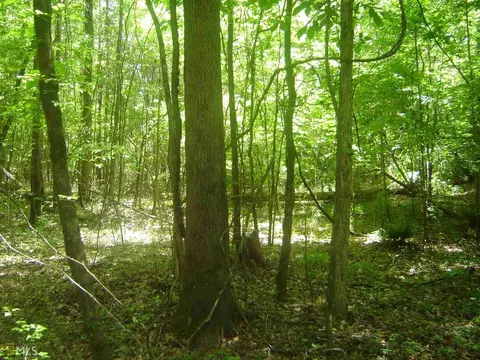 2001 Moores Mill Dr, Lanett, AL 36863 photo 10