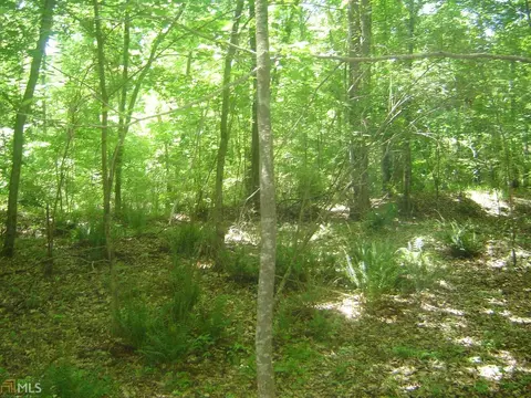 2001 Moores Mill Dr, Lanett, AL 36863 photo 8