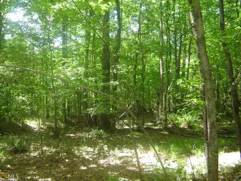 2001 Moores Mill Dr, Lanett, AL 36863 photo 9