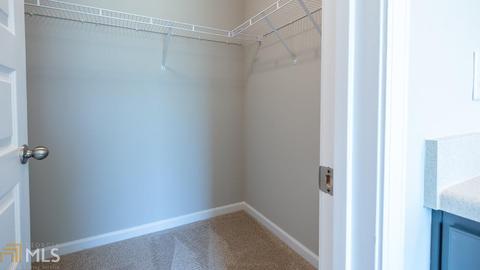 11979 Lovejoy Crossing Pl, Hampton, GA 30228 photo 23