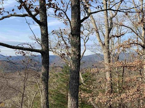 577 Eagles View Dr, Hayesville, NC 28904 photo 31