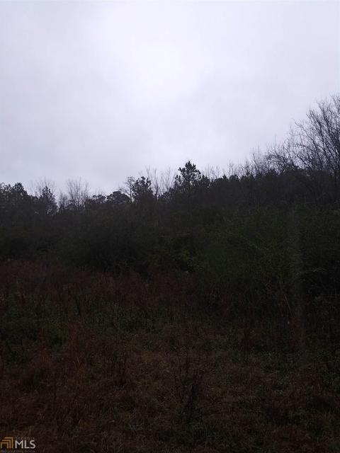 2990 Johnson Corner Rd, Lyons, GA 30436 photo 24